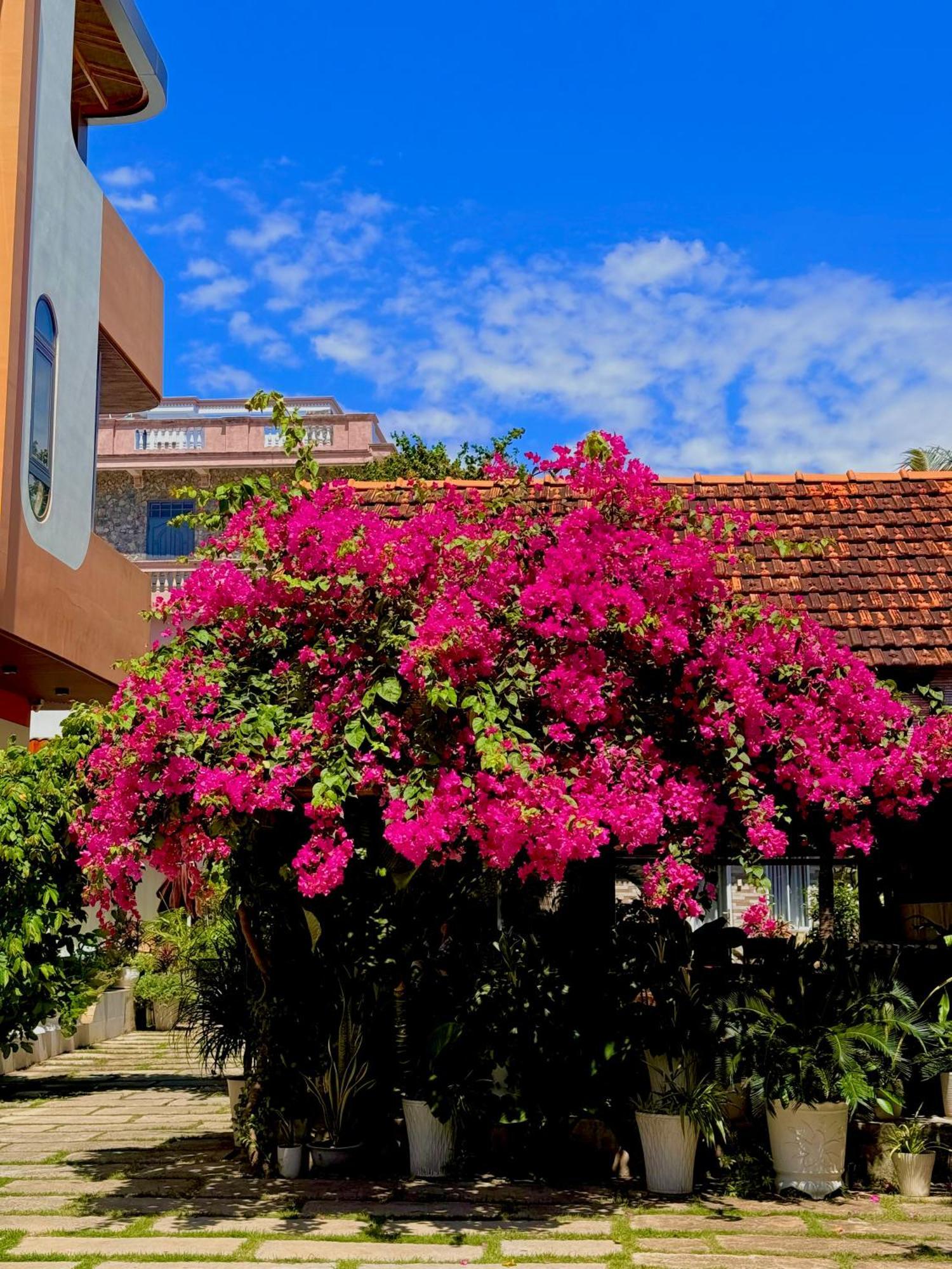 Ho Coc Homestay Luaran gambar